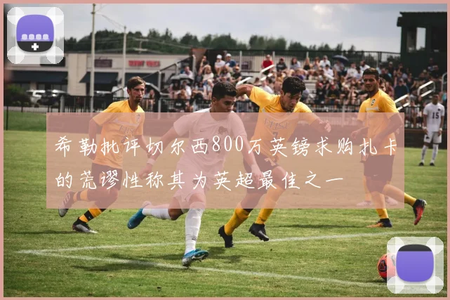 希勒批评切尔西800万英镑求购扎卡的荒谬性称其为英超最佳之一